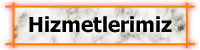 Hizmetlerimiz